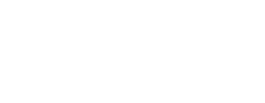 Stedi Talent Solution